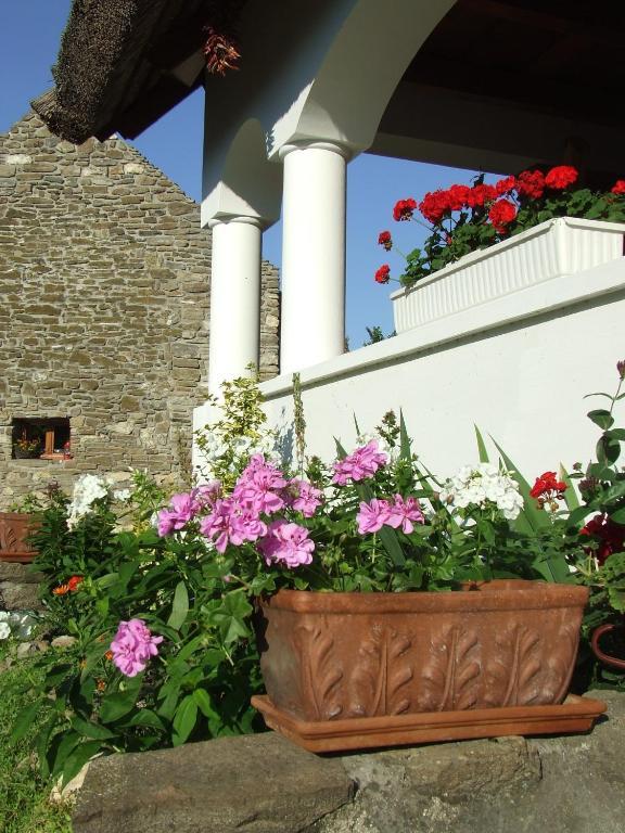 Csato Vendeghaz Hotel Tihany Exterior photo